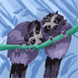 Meet your Posher, Monterey